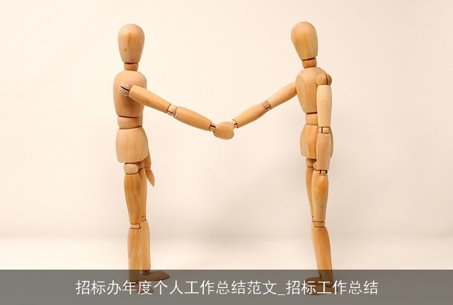 招标办年度个人工作总结范文_招标工作总结