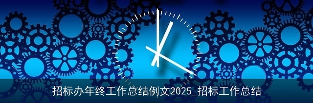 招标办年终工作总结例文2025_招标工作总结