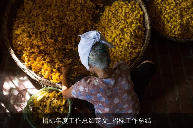 招标年度工作总结范文_招标工作总结