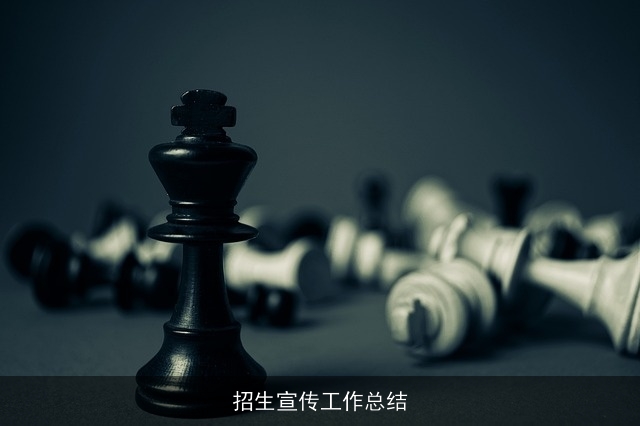 招生宣传工作总结