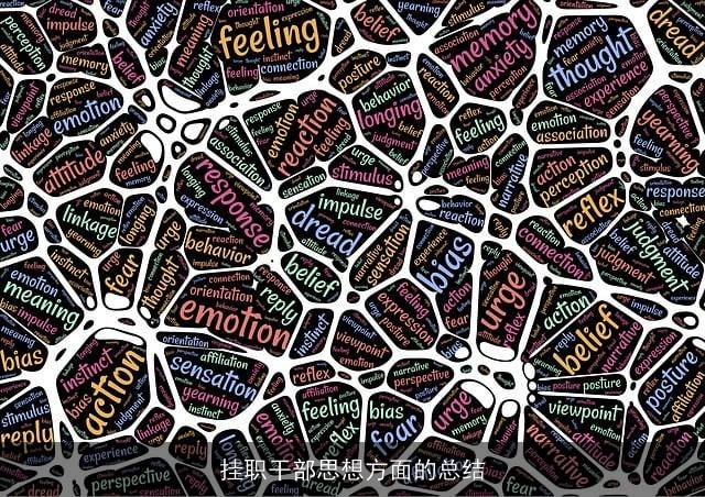 挂职干部思想方面的总结