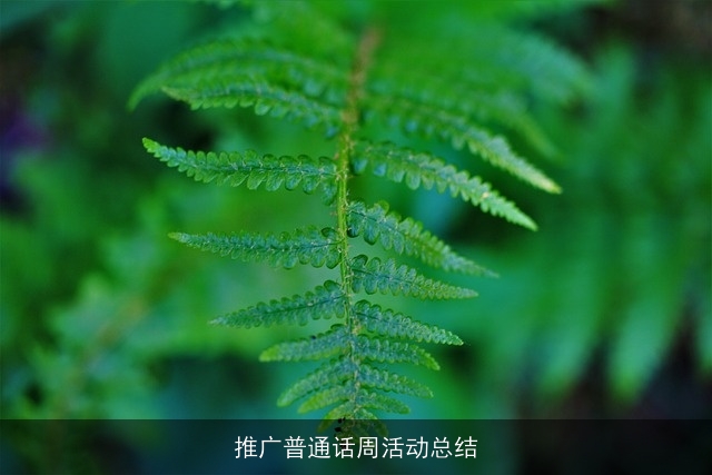 推广普通话周活动总结