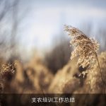 支农培训工作总结