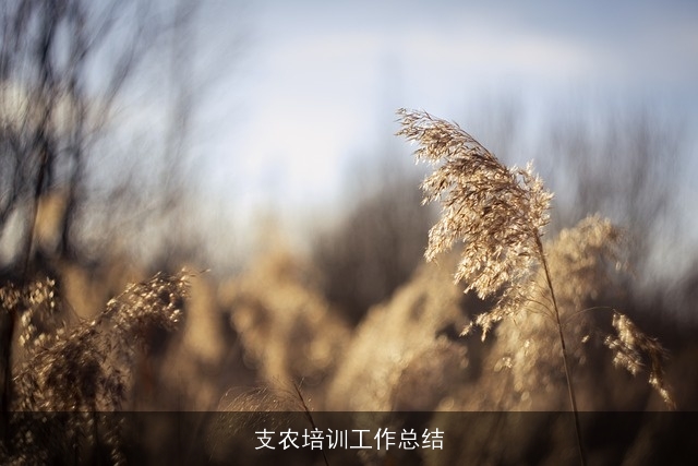 支农培训工作总结