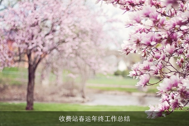 收费站春运年终工作总结