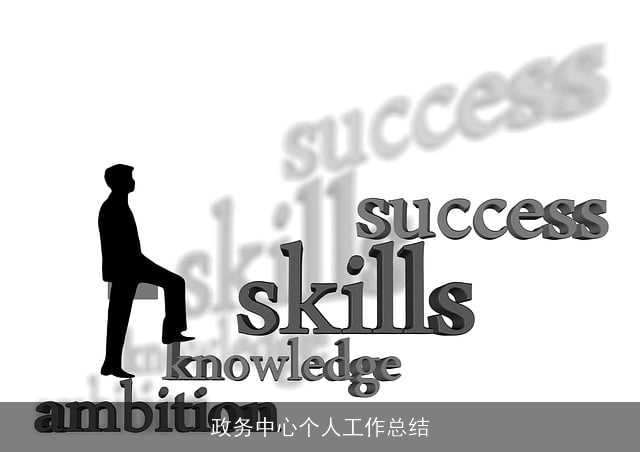 政务中心个人工作总结