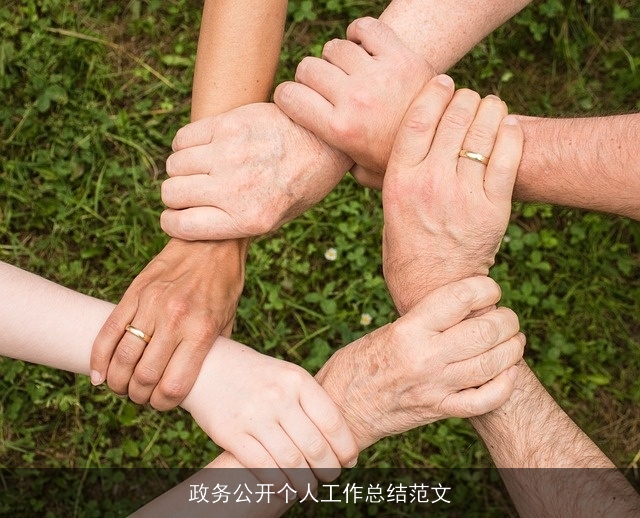 政务公开个人工作总结范文