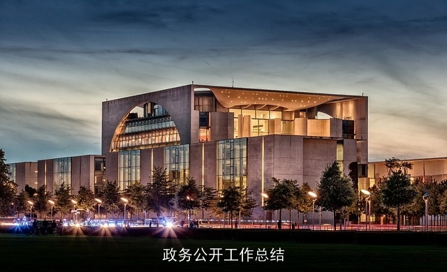 政务公开工作总结