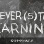 教师专业技术总结