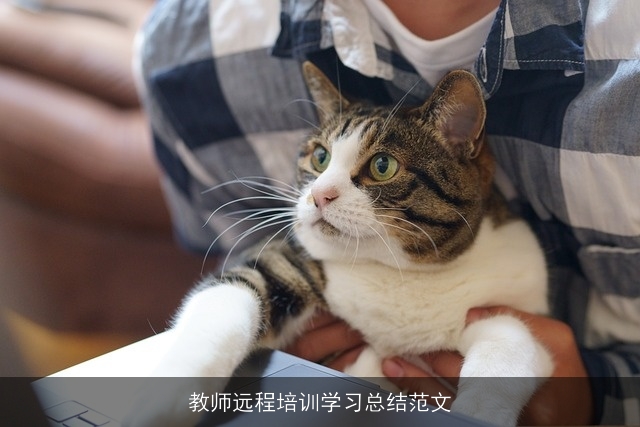 教师远程培训学习总结范文