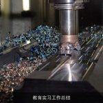 教育实习工作总结