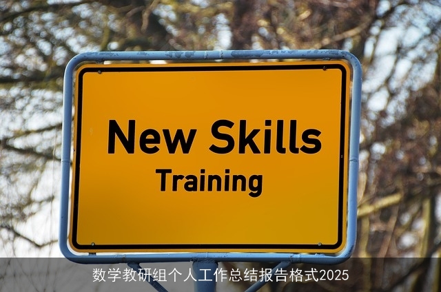 数学教研组个人工作总结报告格式2025