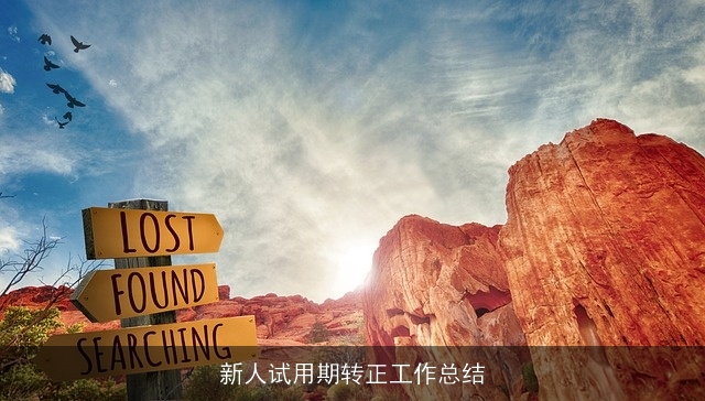 新人试用期转正工作总结