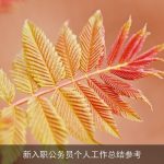 新入职公务员个人工作总结参考