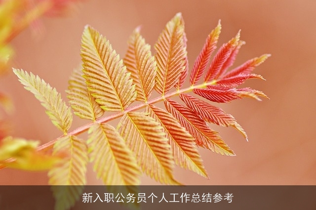 新入职公务员个人工作总结参考