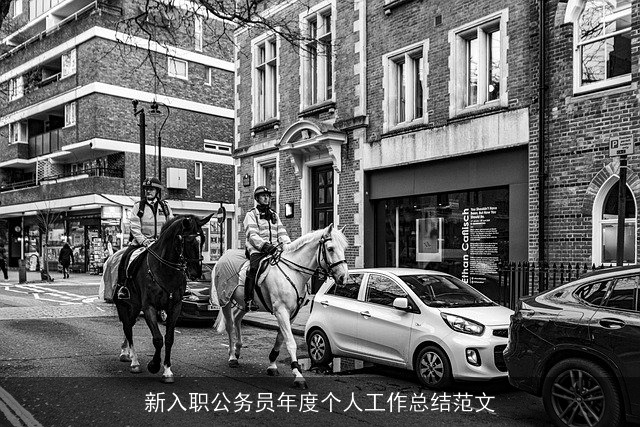 新入职公务员年度个人工作总结范文