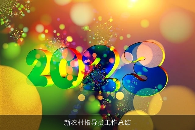 新农村指导员工作总结