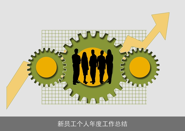 新员工个人年度工作总结