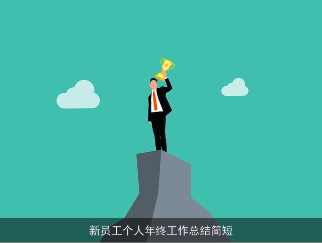 新员工个人年终工作总结简短