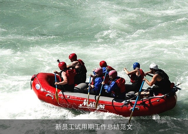 新员工试用期工作总结范文