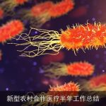 新型农村合作医疗半年工作总结