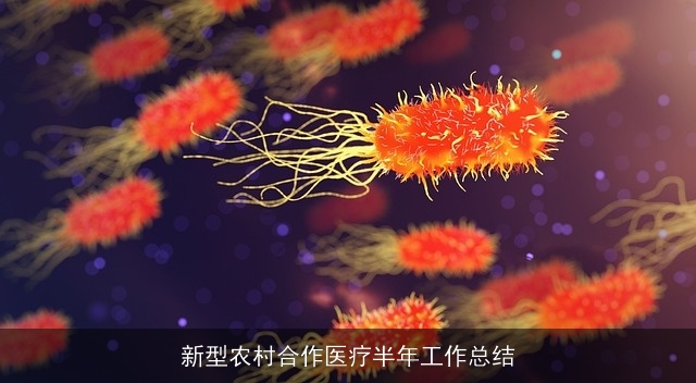 新型农村合作医疗半年工作总结