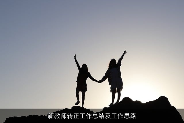 新教师转正工作总结及工作思路