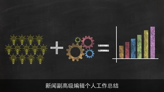 新闻副高级编辑个人工作总结