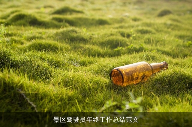 景区驾驶员年终工作总结范文