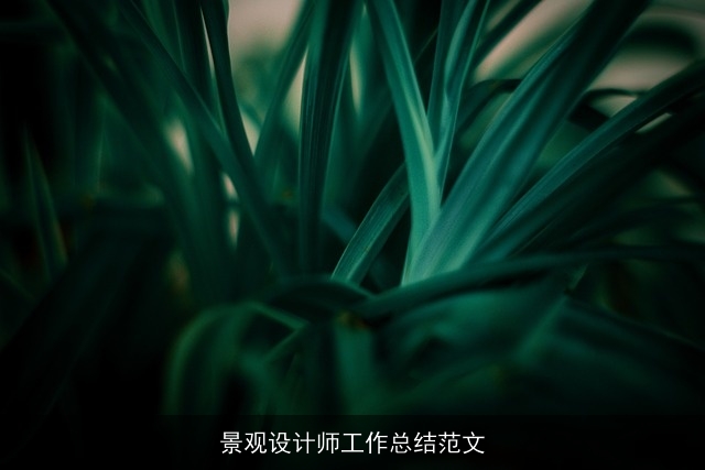 景观设计师工作总结范文
