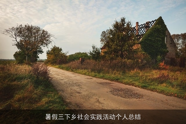 暑假三下乡社会实践活动个人总结