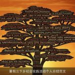 暑假三下乡社会实践活动个人总结范文