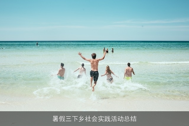 暑假三下乡社会实践活动总结