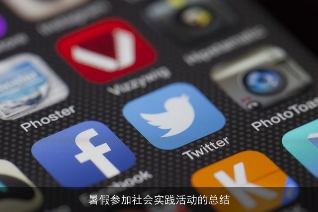 暑假参加社会实践活动的总结