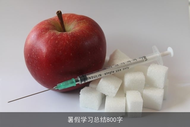 暑假学习总结800字