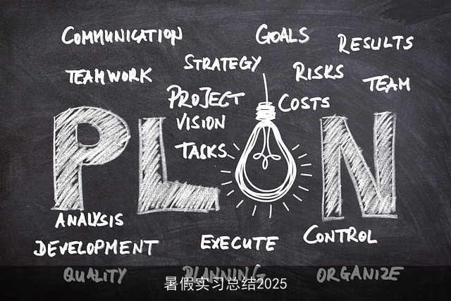 暑假实习总结2025