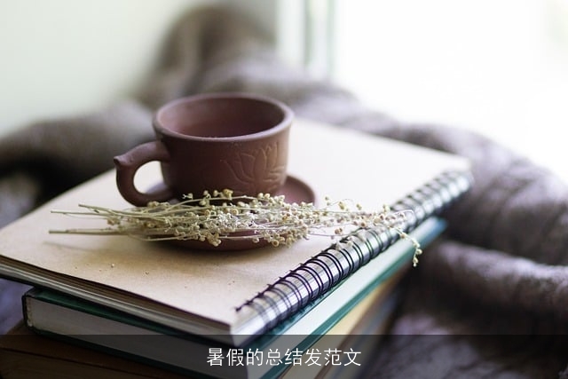 暑假的总结发范文