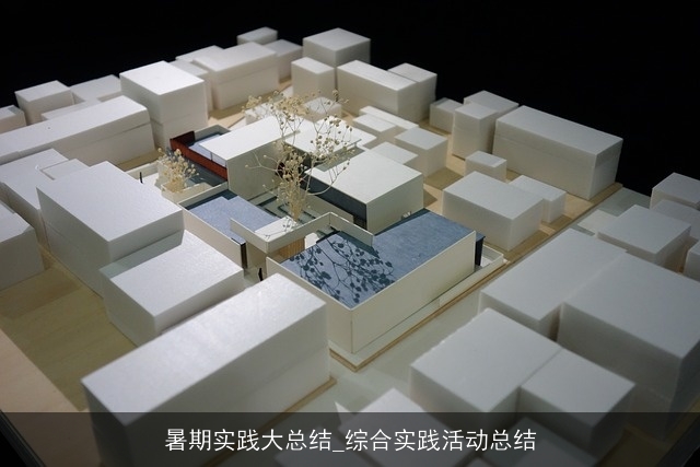 暑期实践大总结_综合实践活动总结