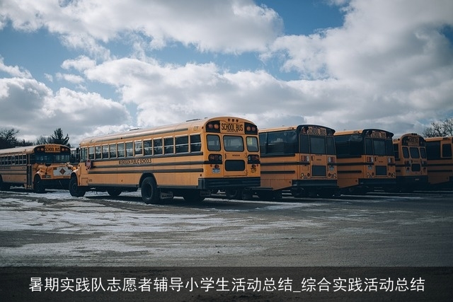 暑期实践队志愿者辅导小学生活动总结_综合实践活动总结