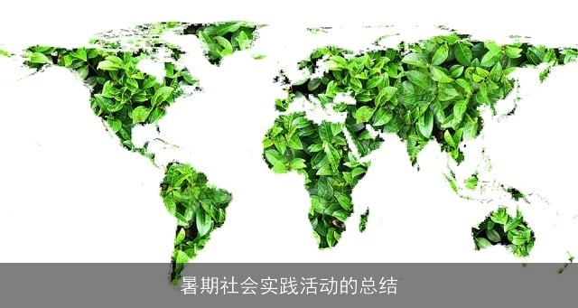 暑期社会实践活动的总结