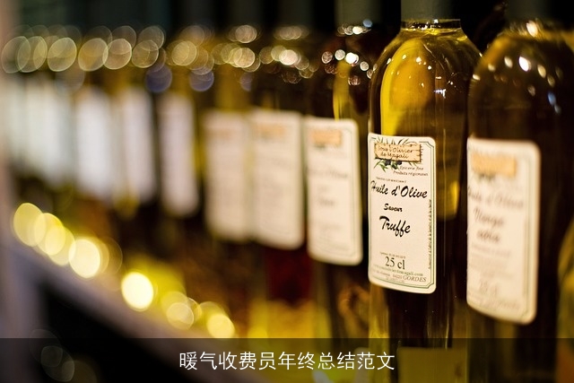 暖气收费员年终总结范文