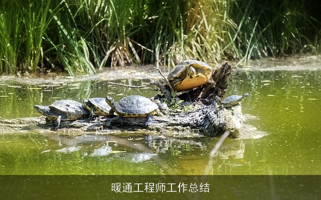 暖通工程师工作总结