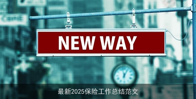 最新2025保险工作总结范文