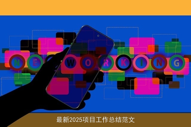 最新2025项目工作总结范文