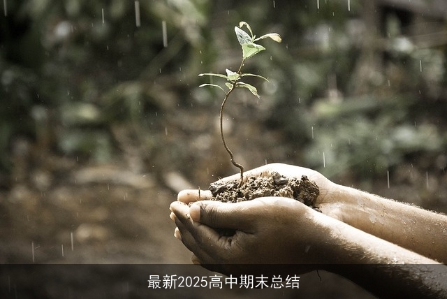 最新2025高中期末总结