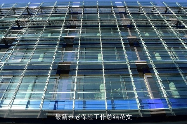 最新养老保险工作总结范文