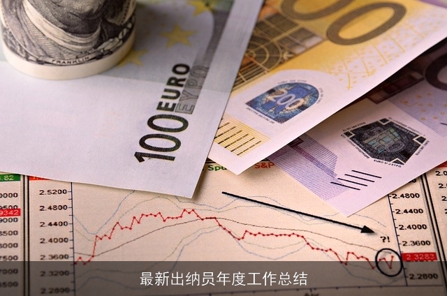 最新出纳员年度工作总结