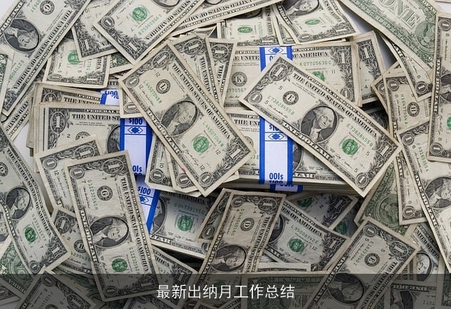最新出纳月工作总结