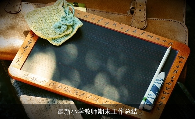 最新小学教师期末工作总结