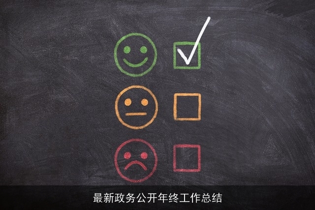最新政务公开年终工作总结